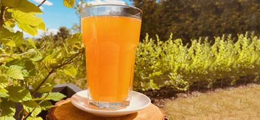 Energietankstelle Vitamine